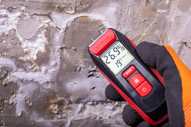 Best Kitchen Mold Remediation in Grissom Af, IN