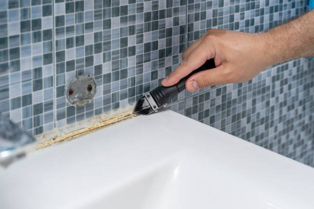 Best Insurance-Related Mold Remediation in Grissom Af, IN