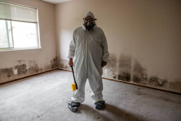 Professional Mold Remediation in Grissom Af, IN
